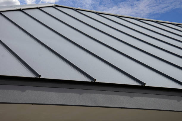 Best Metal Roofing Installation  in Camp Croft, SC